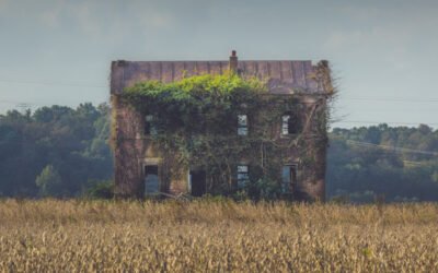 اے گهر یہ بتا