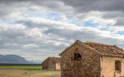 ط طمع نے مار کے چور کیتا